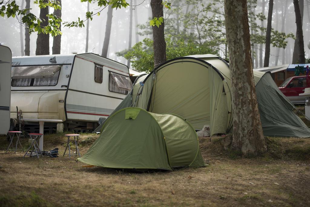 מלון סנשנשו Camping Cachadelos מראה חיצוני תמונה